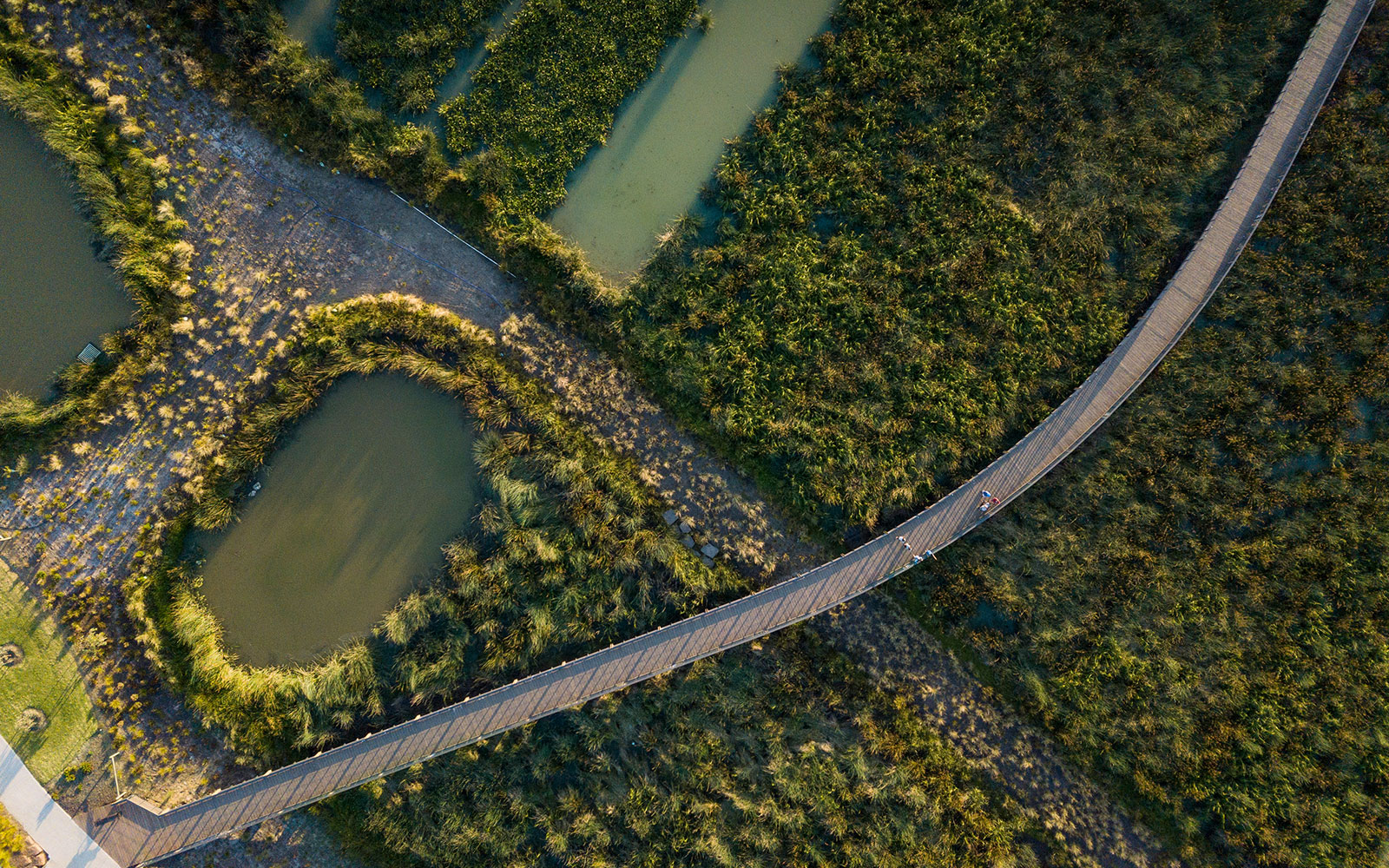 Delaray wetlands