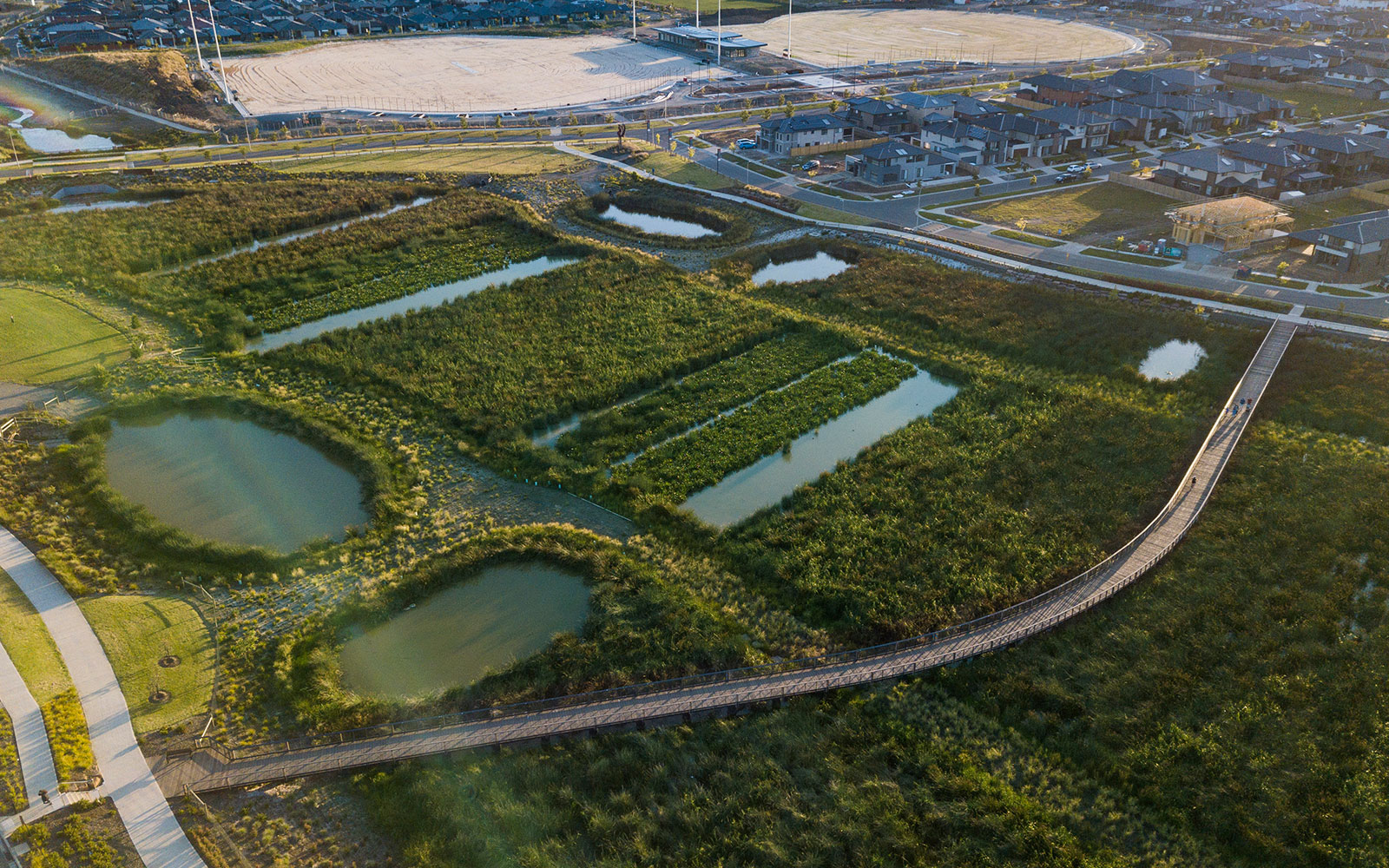 Delaray wetlands