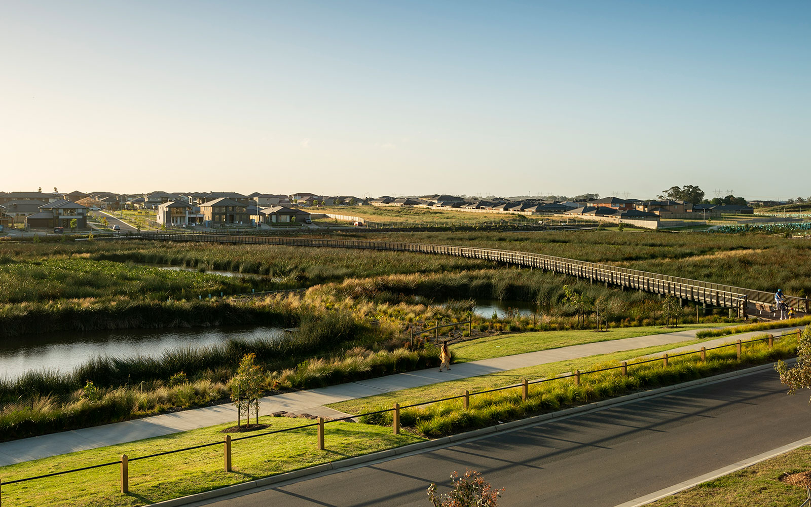 Delaray wetlands